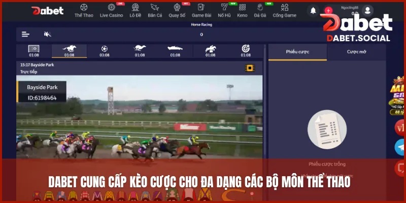 DABET cung cấp kèo cược cho đa dạng các bộ môn thể thao