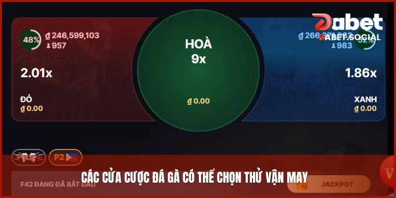 Các cửa cược đá gà có thể chọn thử vận may