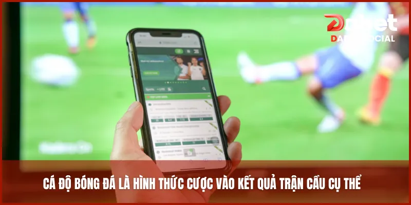 Cá độ bóng đá là hình thức cược vào kết quả trận cầu cụ thể