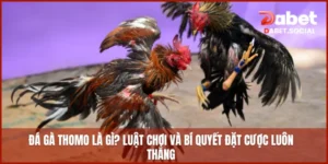da-ga-thomo