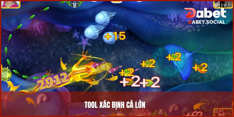 Tool xác định vị trí cá giúp người chơi xác định vị trí của các loài cá lớn