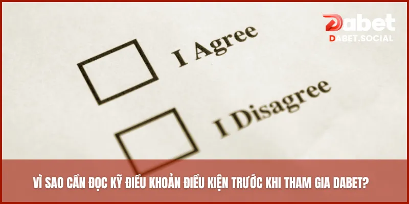 Vì sao cần đọc kỹ điều khoản điều kiện trước khi tham gia DABET?