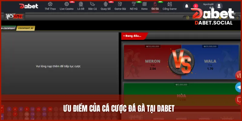 Ưu điểm của cá cược đá gà tại DABET